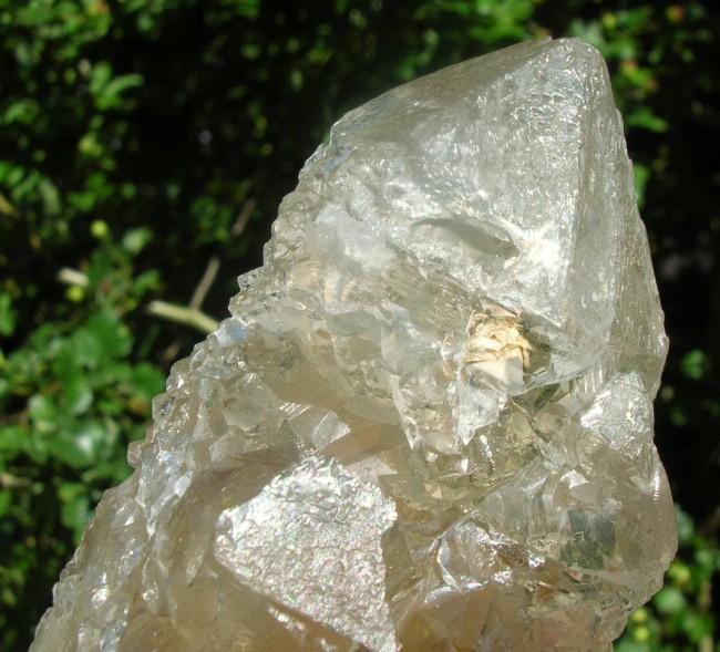 DSCN0158.JPG