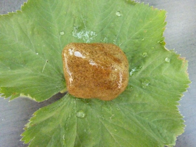 Granit4,0.JPG