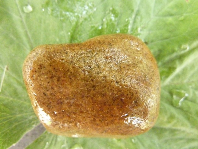 Granit4,1.JPG