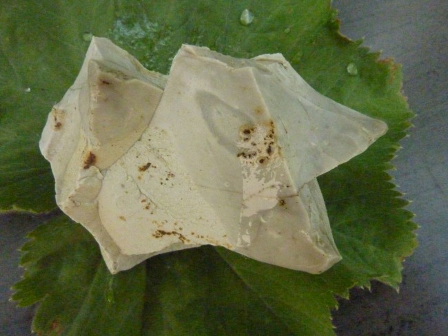 Flint1,1.JPG