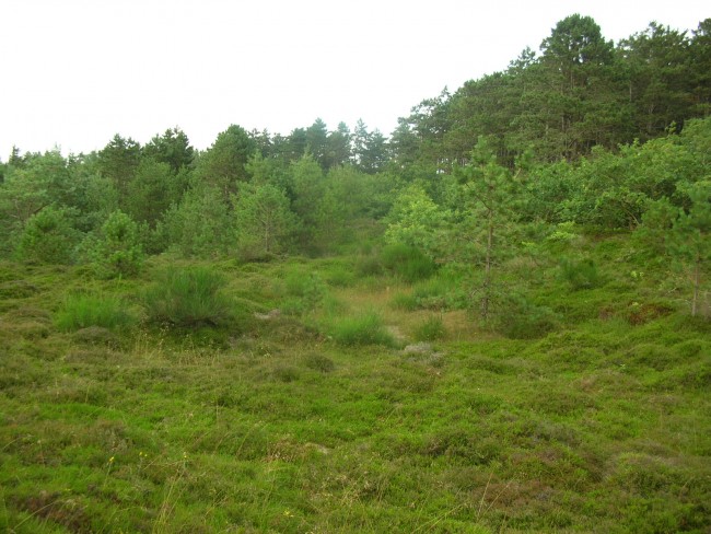 DSCN0174.JPG