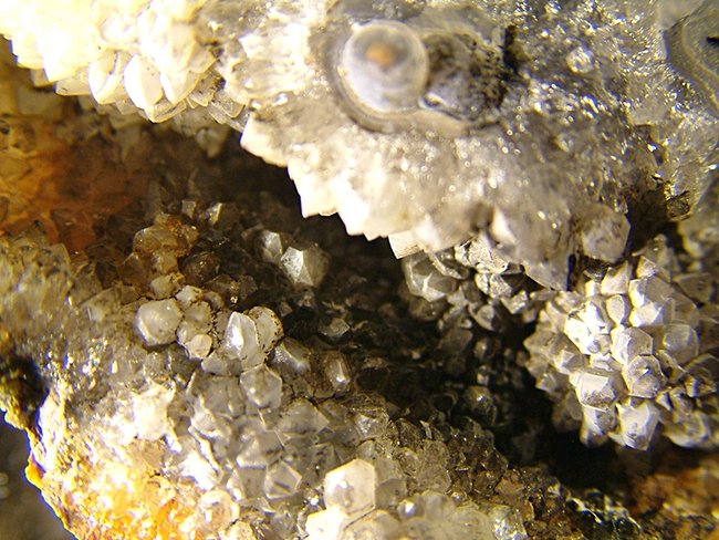 DSCF0020.JPG