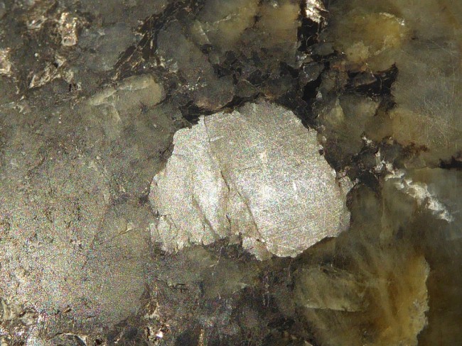 P1580466s.jpg