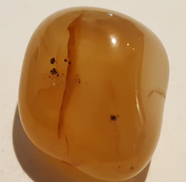 image001.png