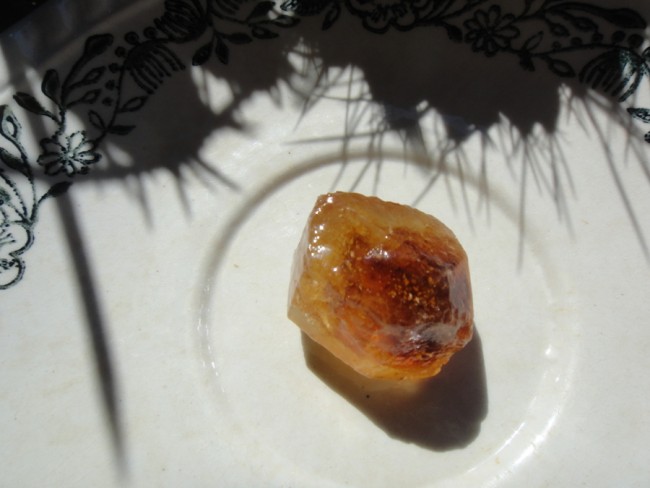 DSC07720a.jpg