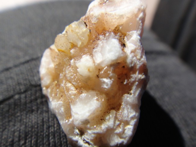 DSC07734a.jpg