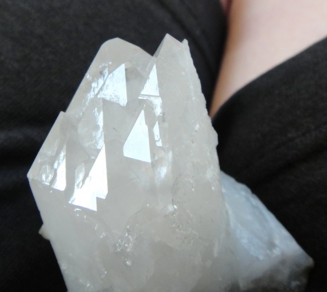 DSC07742a.jpg