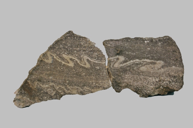 Schlangengips