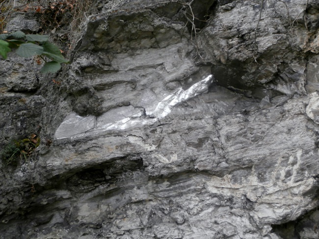 Felsen mit Marienglas