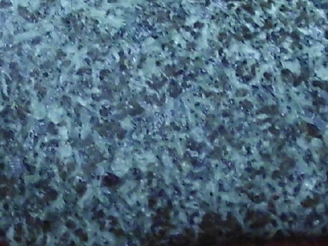 DSCI0907.JPG