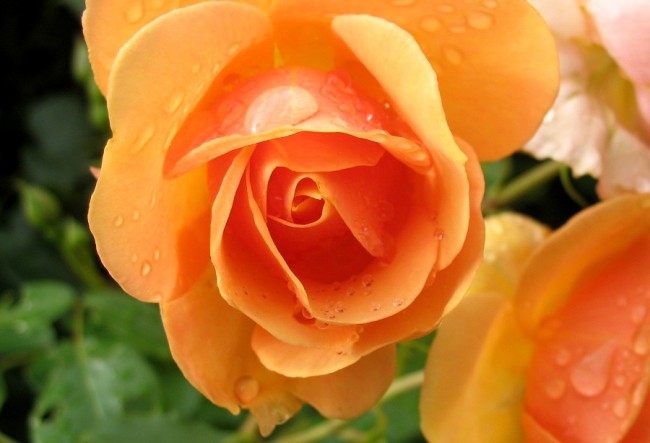 6Jul12 025.JPG