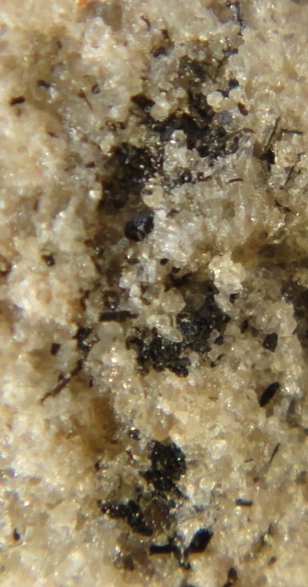 DSC08015a.jpg
