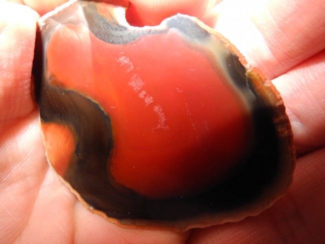 DSCN9505.jpg