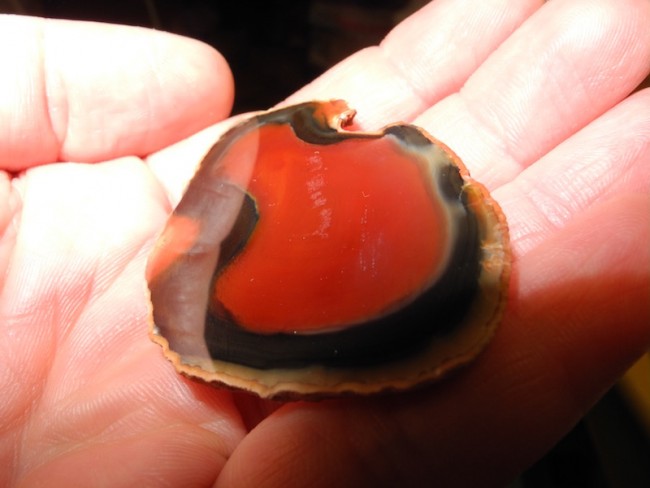 DSCN9507.jpg
