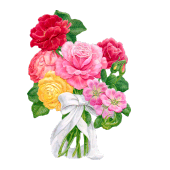 blume6.gif