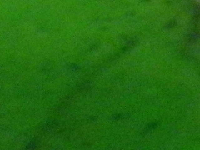 DSCI2239.JPG