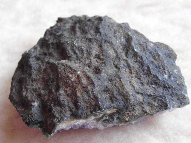 DSCI2259.JPG