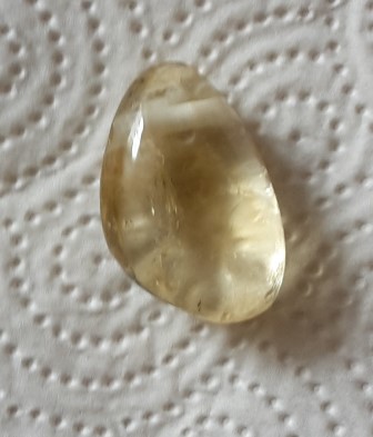 20161010_121232.jpg