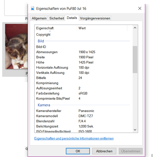 puf1.jpg
