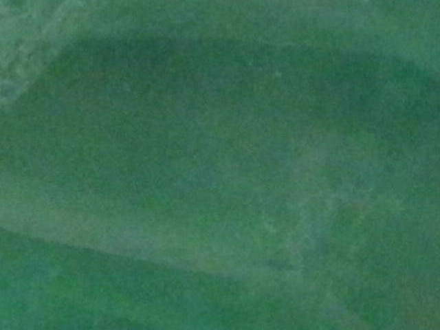 DSCI2357.JPG