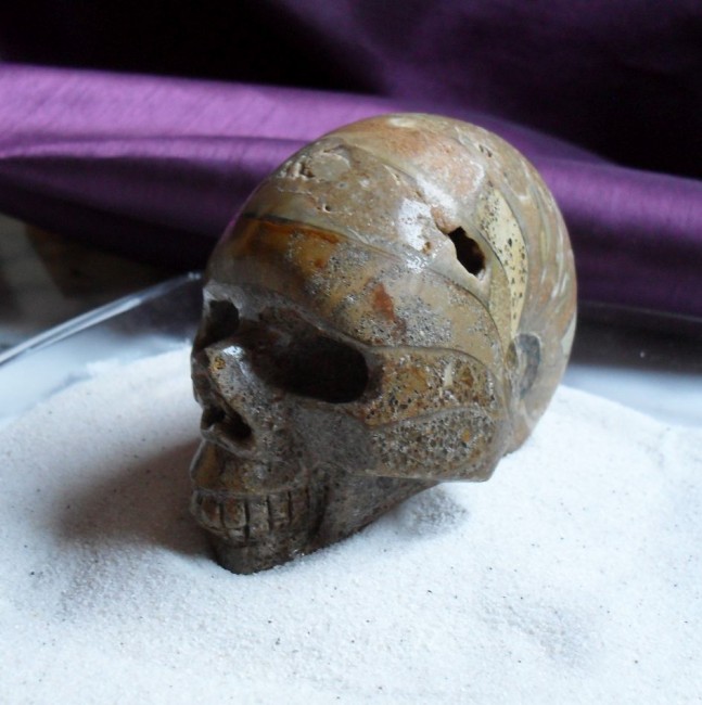 Ammonit, Ammolith, Skull, Kristallschädel