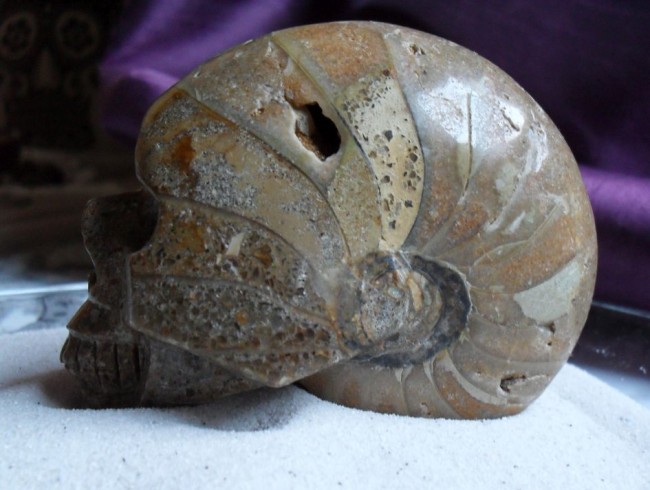 Ammonit, Ammolith, Skull, Kristallschädel