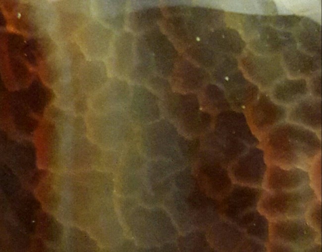 20161117_130823.jpg
