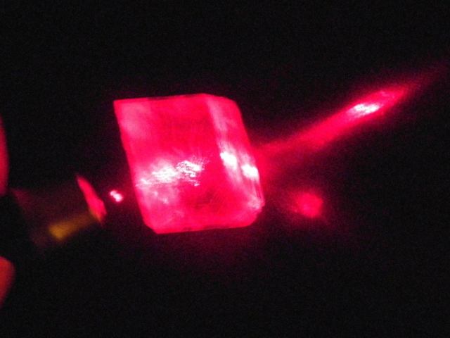 DSCI2553.JPG