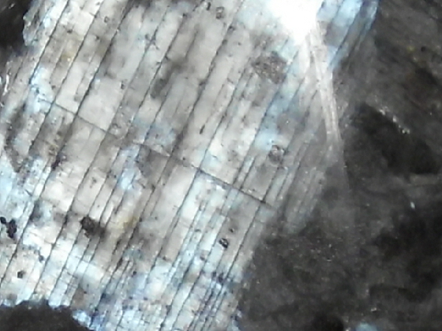 DSCI2557.JPG