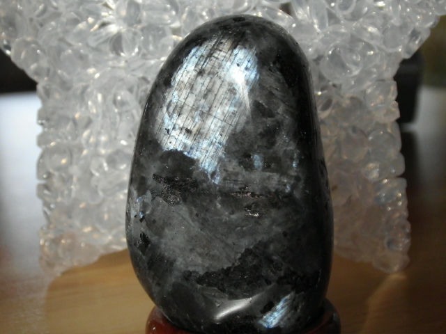 DSCI2558.JPG