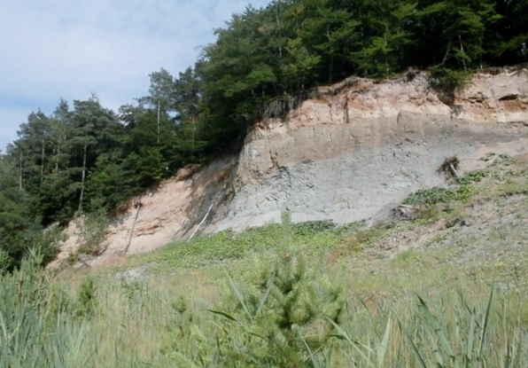 Die aufgelassene Tongrube Bad Freienwalde