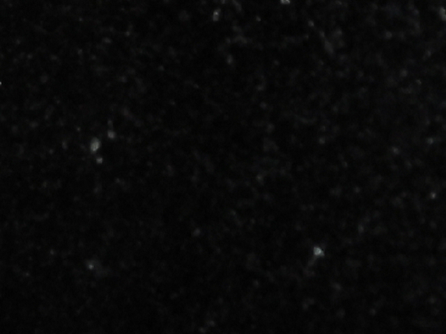 DSCI2723.JPG