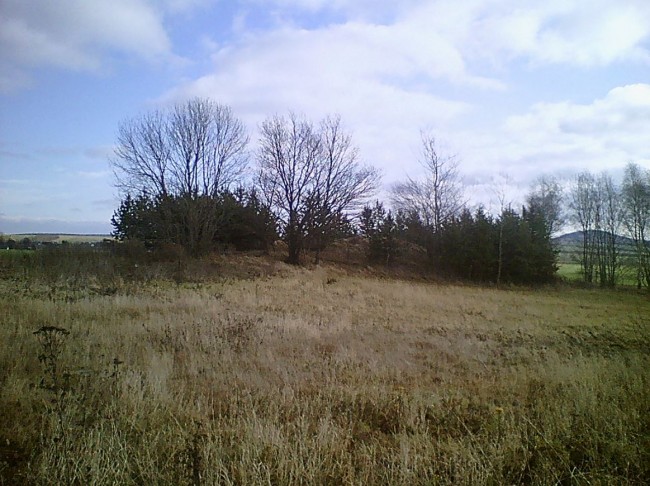 01.JPG
