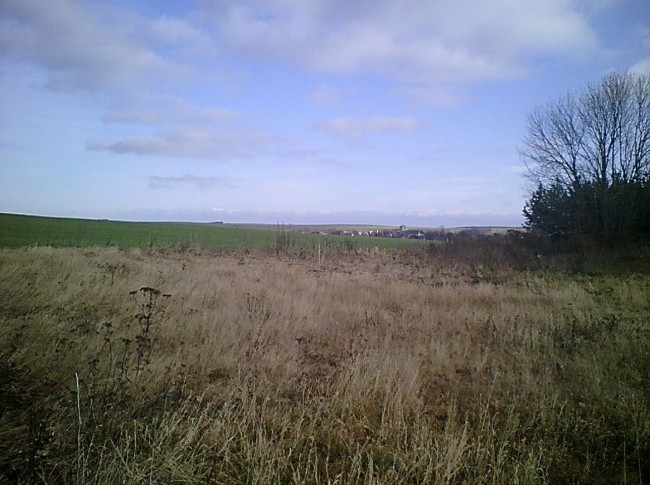 03.JPG