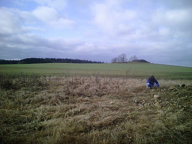 04.JPG