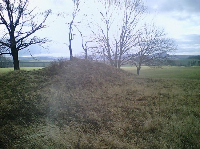 05.JPG