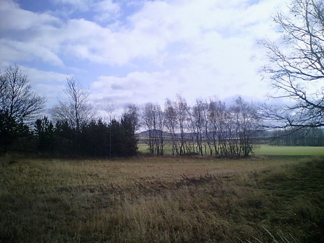 06.JPG