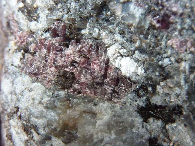 P1100256.JPG
