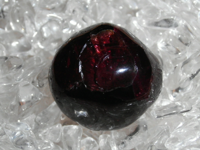 DSCI2595.JPG