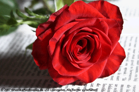Geburtstag-118.gif