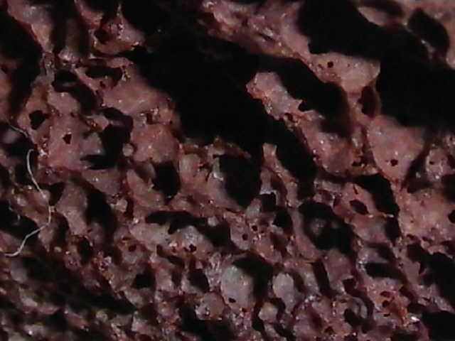 DSCI2831.JPG
