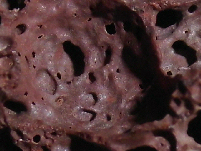 DSCI2832.JPG
