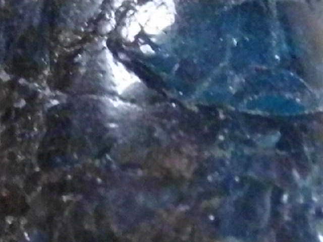 DSCI2851.JPG