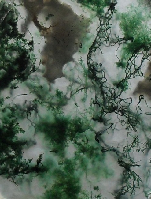 MoosachatDetail1.jpg