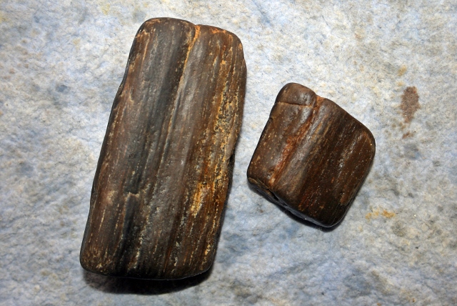 versteinertes Holz