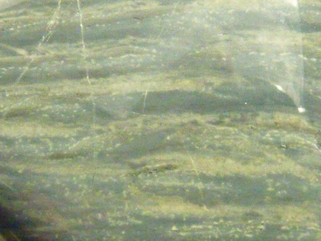 P1100934.JPG