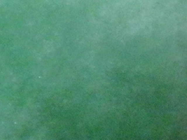 DSCI2867.JPG