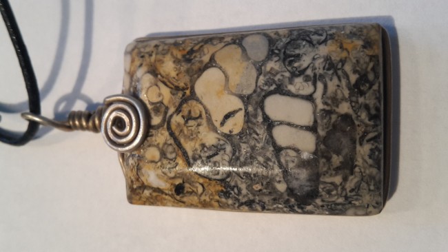 fossil1.jpg