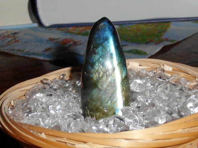 DSCI0372.JPG