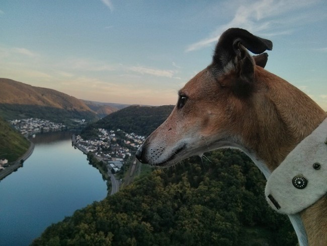 P1080763.jpg